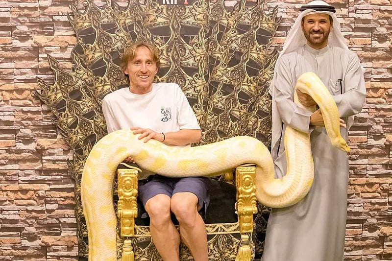 Luka Modrić pozirao s pitonom (Foto: Instagram)