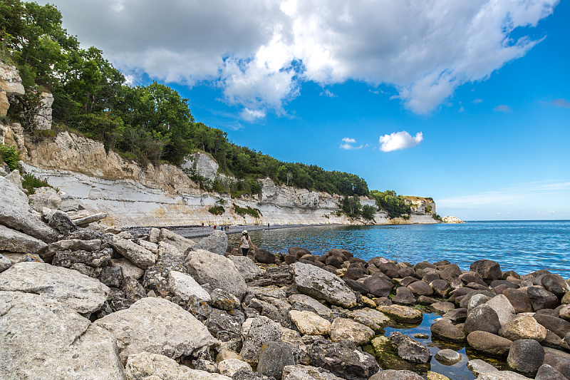 Stevns Klint u Danskoj, gdje su pronađeni fosilizirani ostaci morskog ljiljana (Foto: Shutterstock)