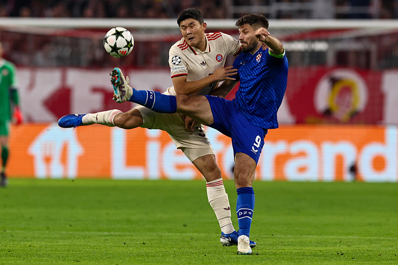 Petković se oporavlja od povrede (Foto: EPA-EFE)