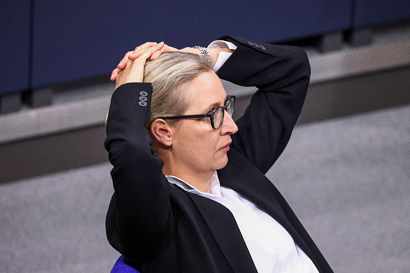 Alice Weidel, predsjednica AfD-a (Foto: Reuters)