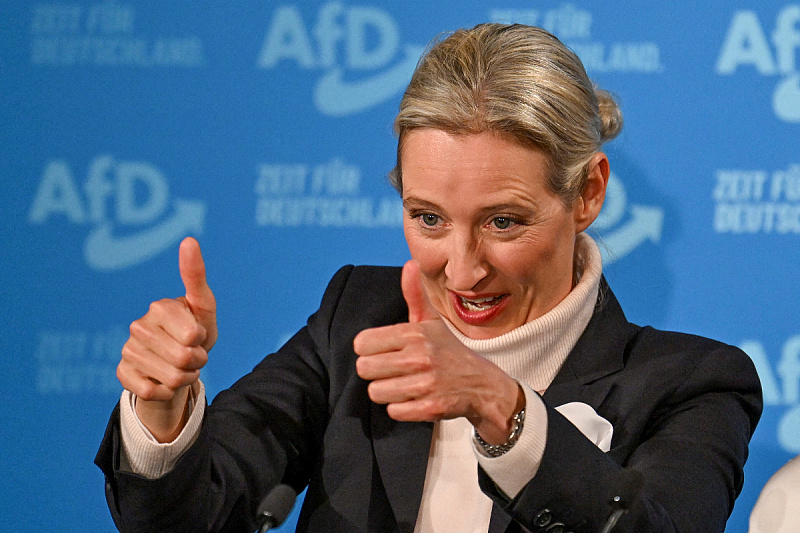 Alice Weidel (Foto: Reuters)