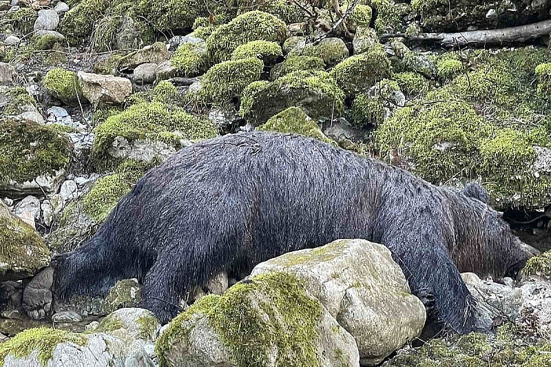 Foto: Čitatelj