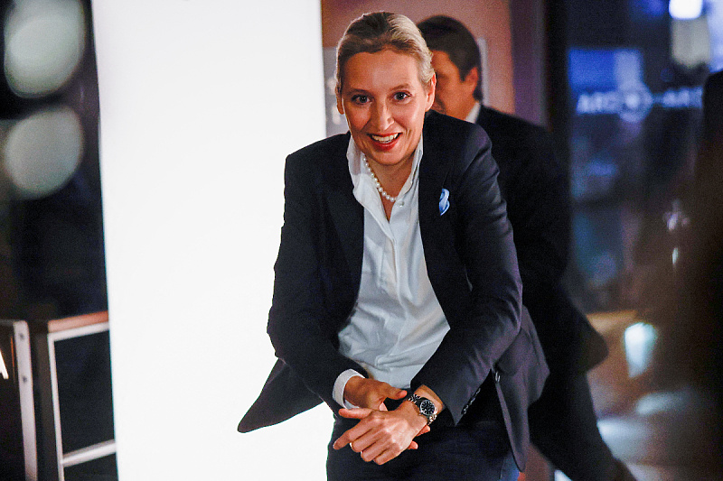 Alice Weidel (Foto: Reuters)