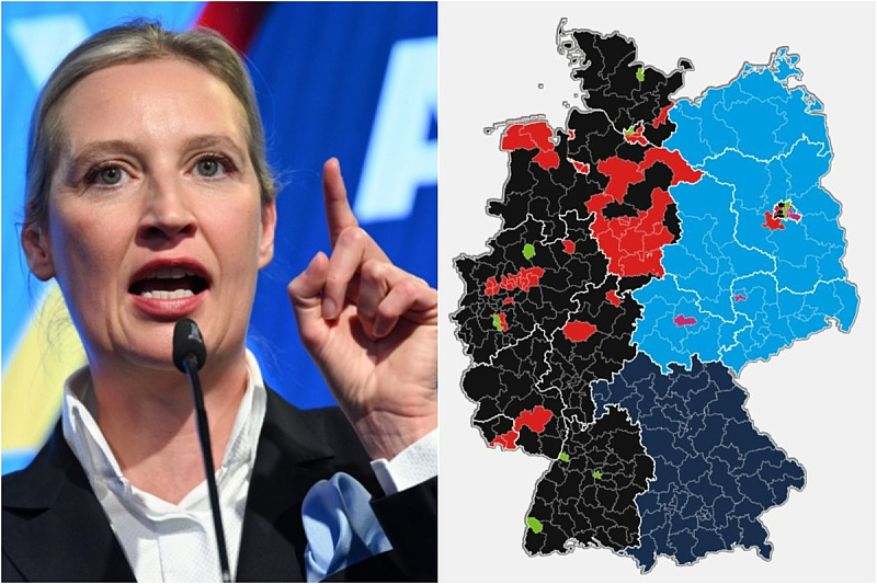 Alice Weidel, vođa AfD-a