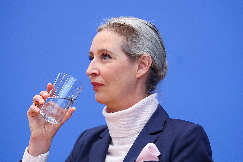 Alice Weidel (Foto: Reuters)