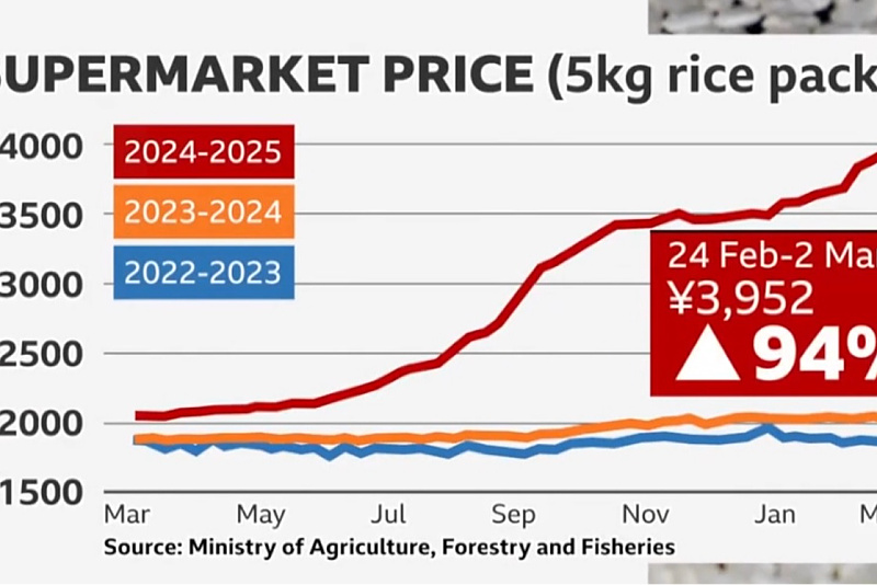 Grafikon kretanja cijena riže u Japanu (Screenshot: BBC)