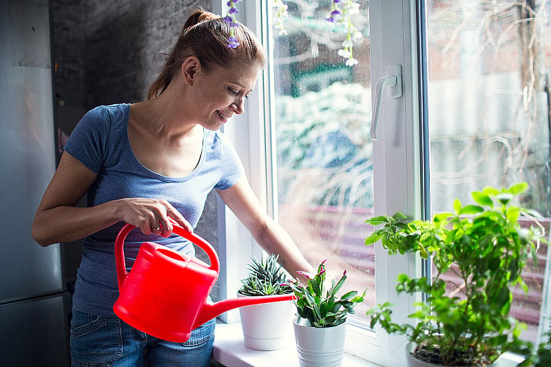 Caring for Indoor Plants