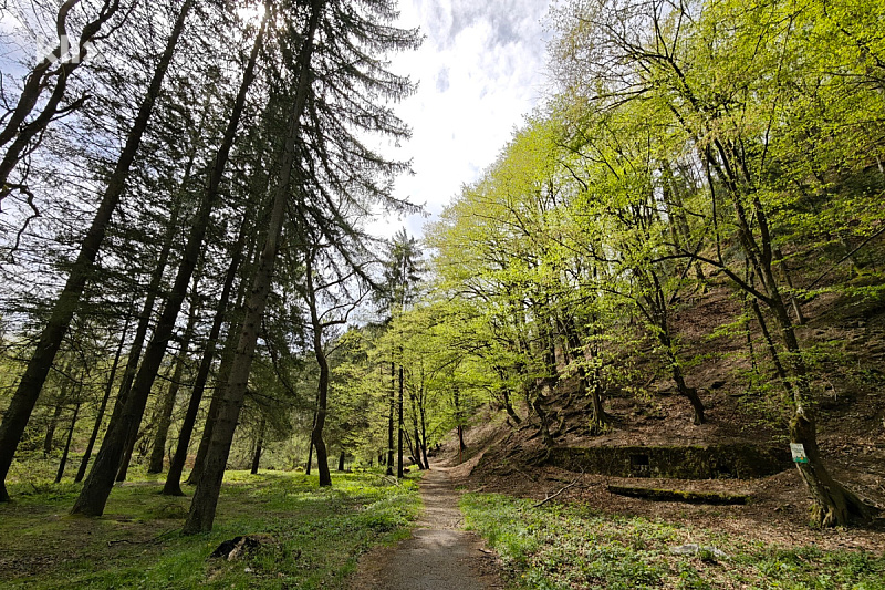 Bistričak (Foto: E. M./Klix.ba)