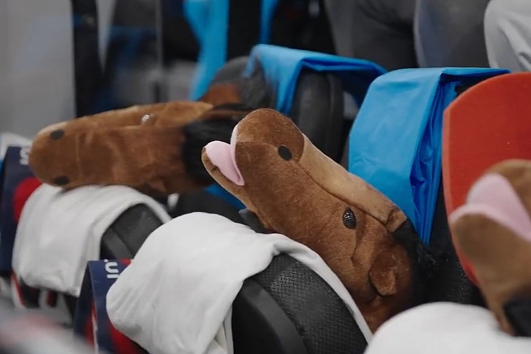 Navijački rekviziti u Los Angelesu (Foto: Screenshot)