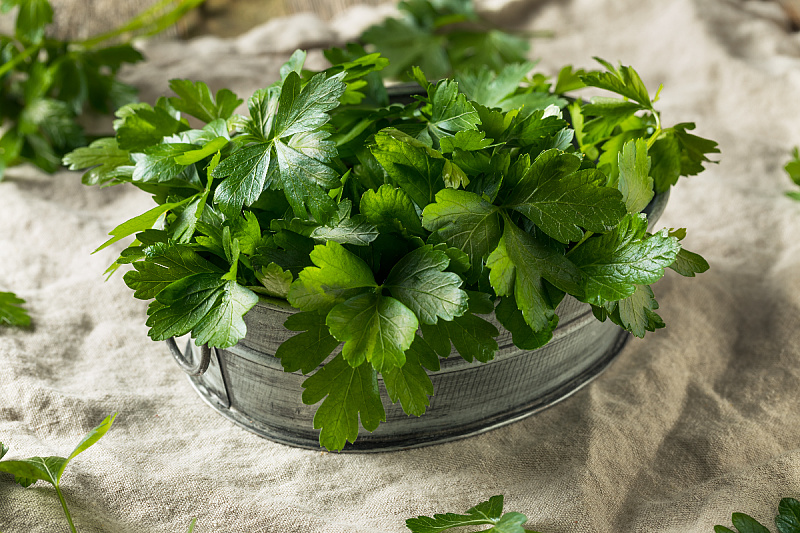 Foto: Shutterstock