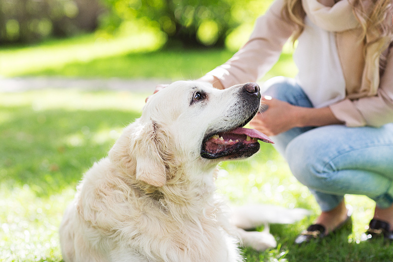 Foto: Shutterstock