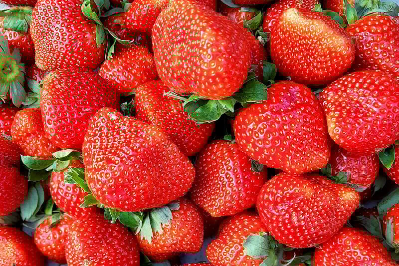 Foto: Shutterstock