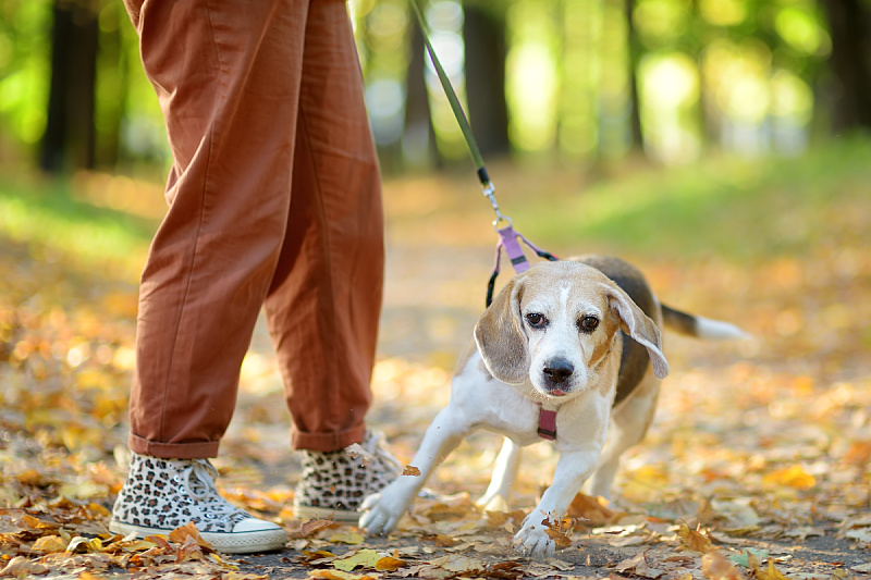 Foto: Shutterstock