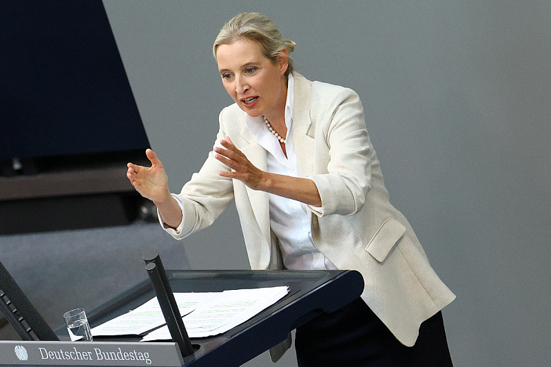 Alice Weidel, predsjednica AfD-a (Foto: Reuters)