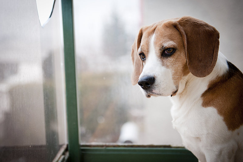 Foto: Shutterstock