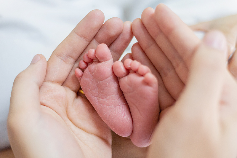 Foto: Shutterstock