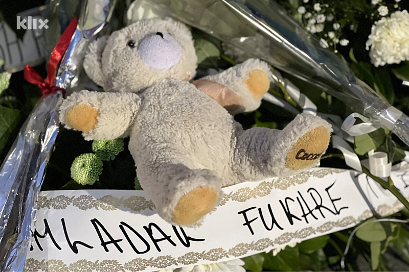 Medvjedić na Tuzlanskoj kapiji (Foto: A. K./Klix.ba)