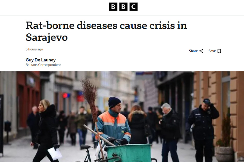 Screenshot: BBC