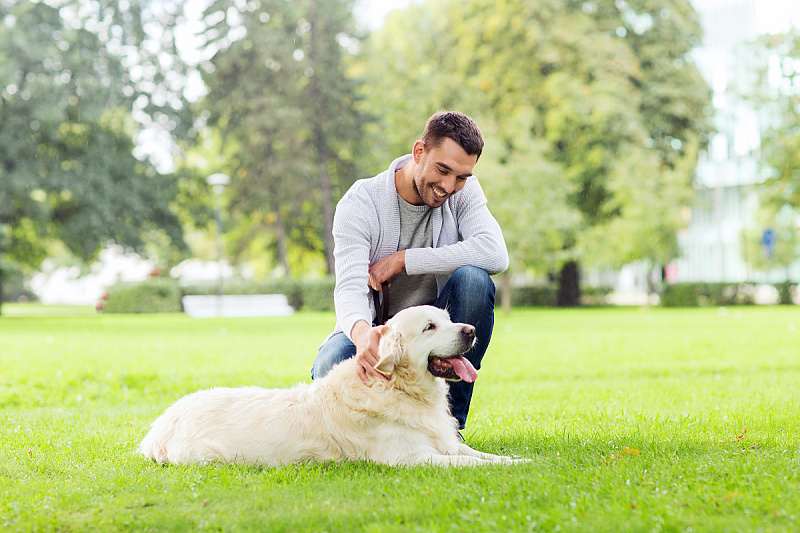 Foto: Shutterstock