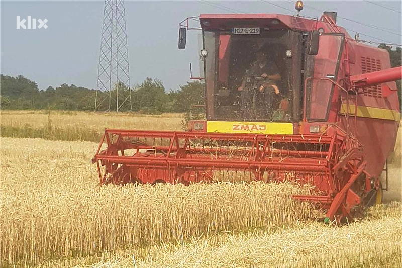 Ratari su na pragu žatva pšenice (Foto: A. K./Klix.ba)