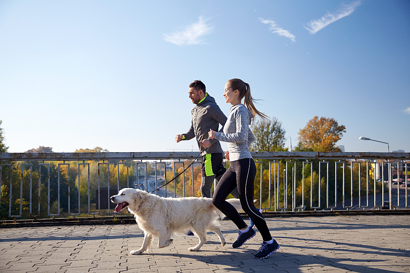 Foto: Shutterstock