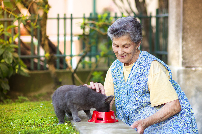 Foto: Shutterstock