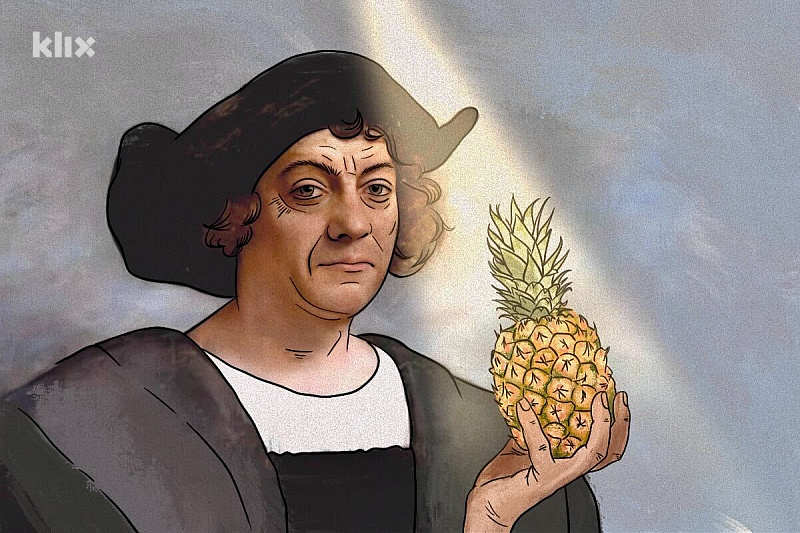 Ananas je jedna od prvih tropskih voćki koje su probali Evropljani
