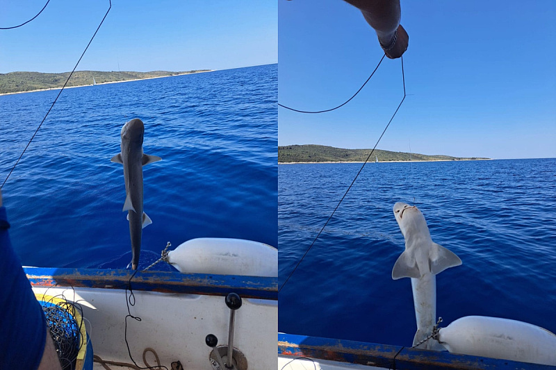 Foto: Dalmacija Danas