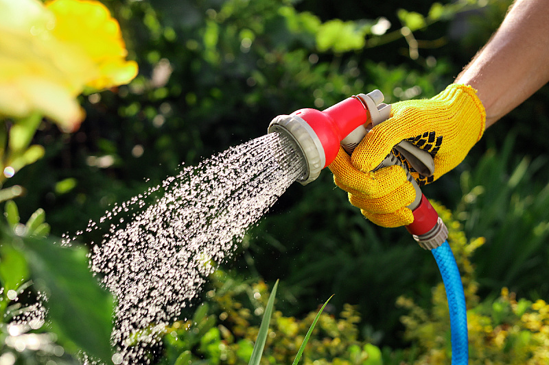 Foto: Shutterstock