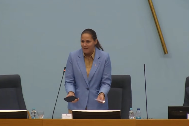 Anja Ljubojević (Screenshot: BN TV)