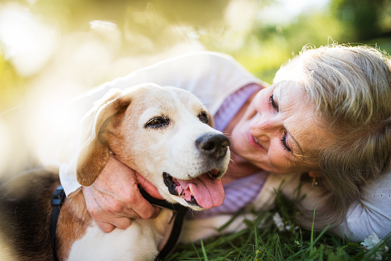 Foto: Shutterstock