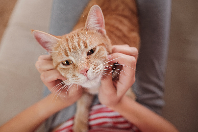 Foto: Shutterstock