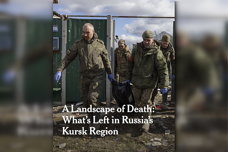 Screenshot: New York Times
