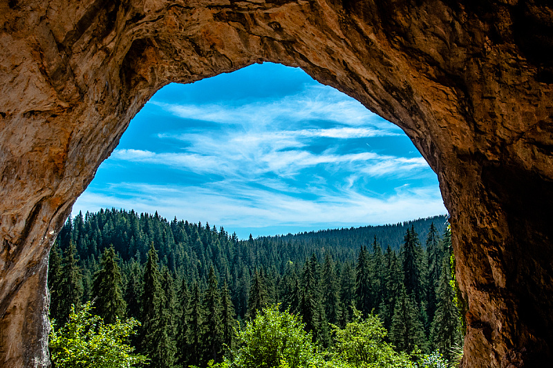 Foto: Shutterstock