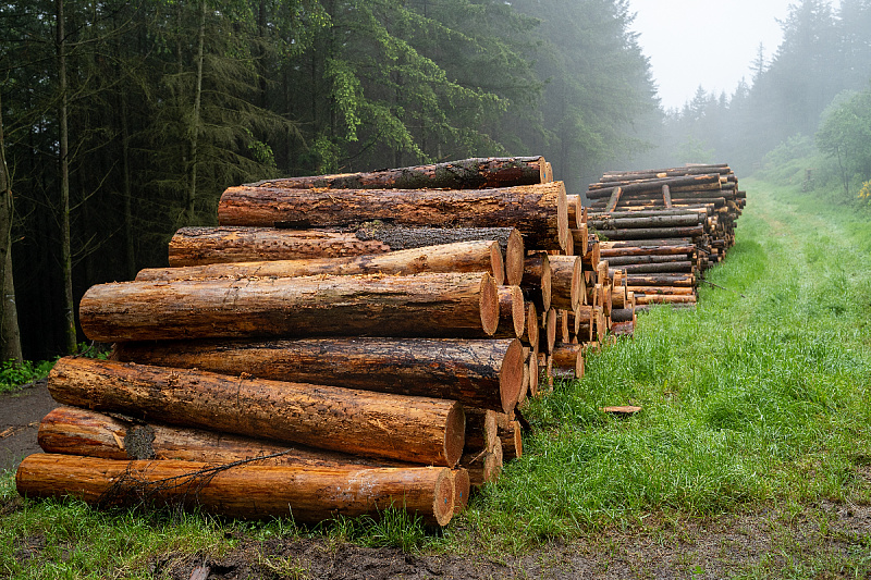 Foto: Shutterstock