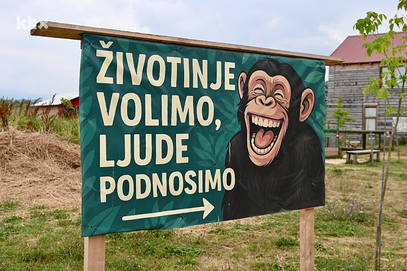 Zoo vrt Bambi je mjesto koje će vas istinski oduševiti (Foto: V. D./Klix.ba)