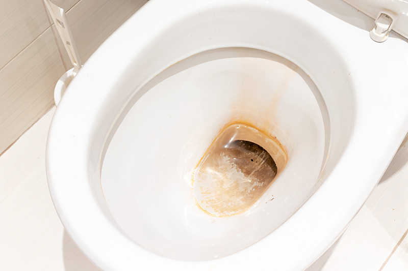Foto: Shutterstock