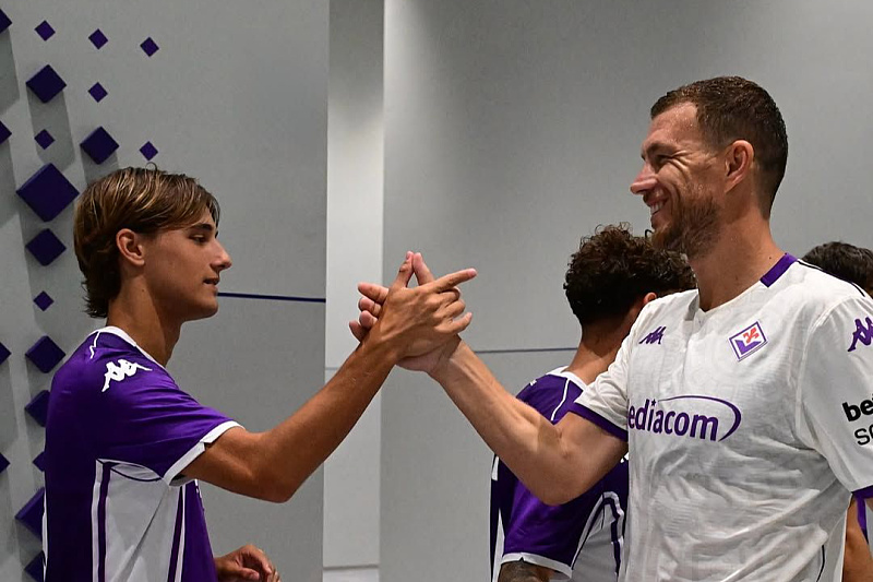 Džeko je zadužio broj devet u Fiorentini (Foto: Fiorentina / Twitter)
