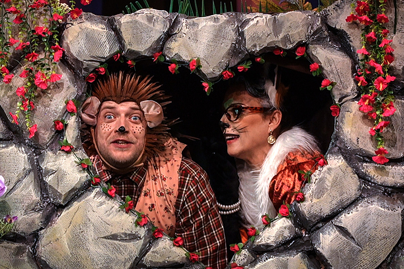 Saturday for laughter and theatrical magic: "Hedgehog's House" on the stage of the National Theater Tuzla