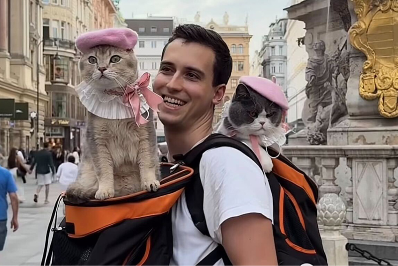 Influencers travel the world with their cats: They have skied, rowed, and hiked with them.