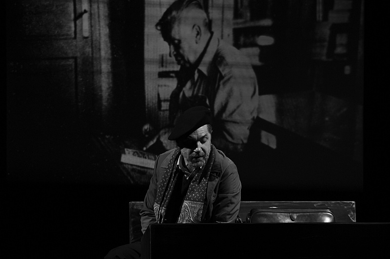 Theater of Humanity: Donate to the public kitchen, enjoy the "Garden of Mallow Color."