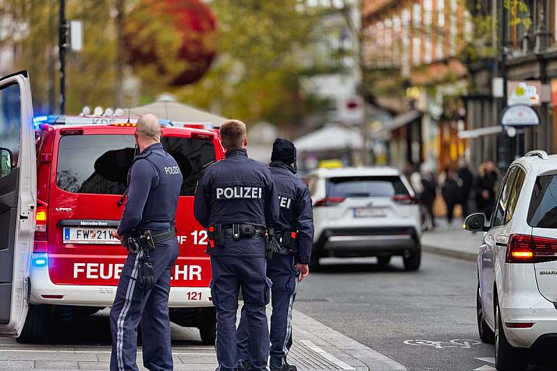 How the "migrant clan" defrauded Austria of 4.8 million euros: Police reveal details of an unbelievable scam