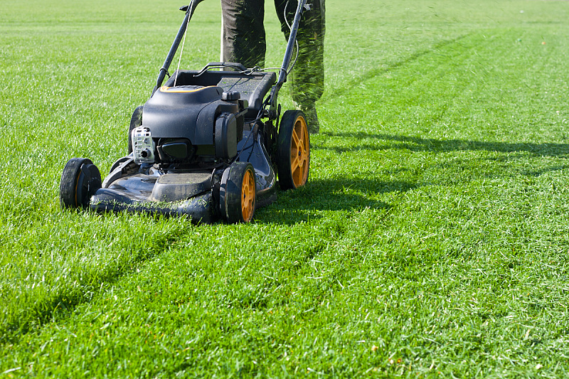 Do you know what the one-third rule means for lawn maintenance?