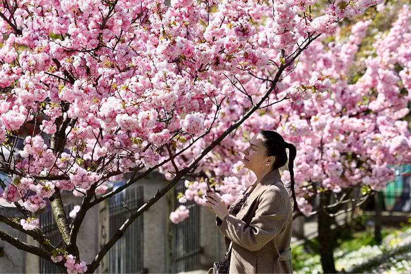 In the coming days, we can expect dirty rain with thunderstorms, but temperatures will reach up to 22 degrees.