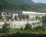 Genocid u Srebrenici kroz karikature: Ne smije se zaboraviti