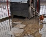 Poplavljeni objekti u Bosanskoj Gradišci, Srbcu i Bosanskoj Dubici