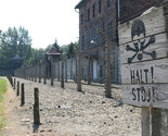 Njemačka diže optužbe protiv 50 bivših stražara iz Auschwitza