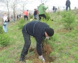 Općina Novi Grad organizirala čišćenje i pošumljavanje Park šuma Mojmilo