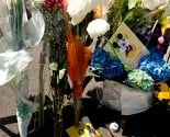 Janet Napolitano: Napadi u Bostonu nisu dio zavjere