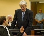 Danas žalbeni pretres u postupku protiv Radovana Karadžića